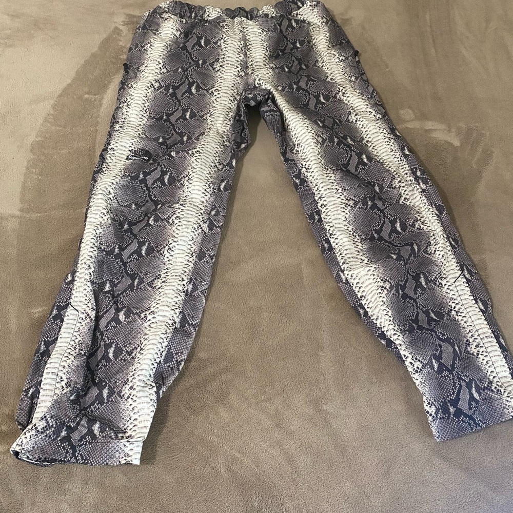 Supreme North face pants